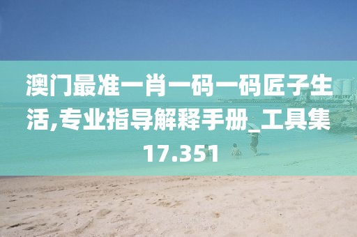澳门最准一肖一码一码匠子生活,专业指导解释手册_工具集17.351
