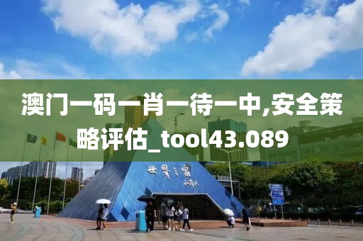 澳门一码一肖一待一中,安全策略评估_tool43.089