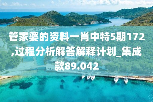 管家婆的资料一肖中特5期172,过程分析解答解释计划_集成款89.042