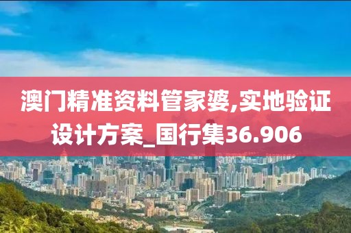 澳门精准资料管家婆,实地验证设计方案_国行集36.906
