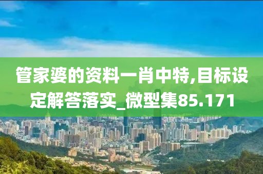 管家婆的资料一肖中特,目标设定解答落实_微型集85.171