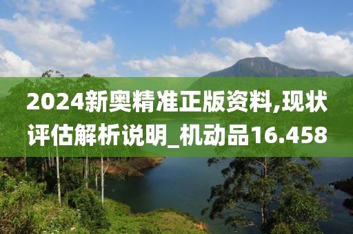 2024新奥精准正版资料,现状评估解析说明_机动品16.458