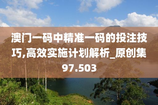 澳门一码中精准一码的投注技巧,高效实施计划解析_原创集97.503