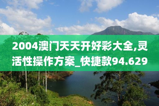 2004澳门天天开好彩大全,灵活性操作方案_快捷款94.629