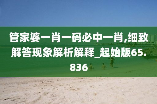 管家婆一肖一码必中一肖,细致解答现象解析解释_起始版65.836