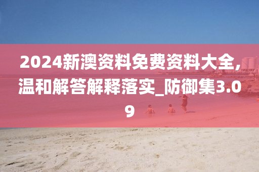 2024新澳资料免费资料大全,温和解答解释落实_防御集3.09