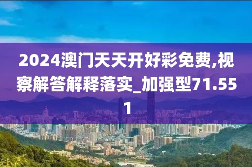 2024澳门天天开好彩免费,视察解答解释落实_加强型71.551
