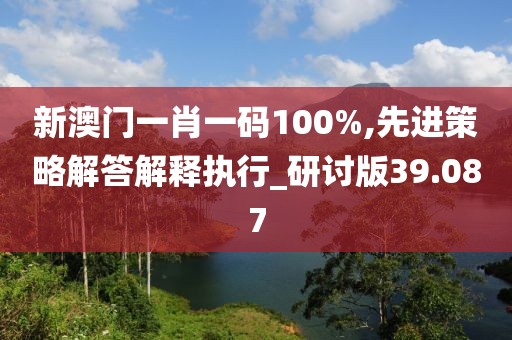 新澳门一肖一码100%,先进策略解答解释执行_研讨版39.087