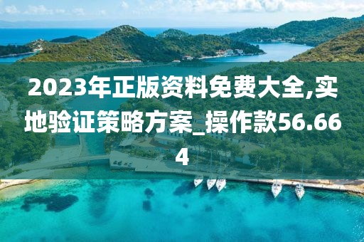 2023年正版资料免费大全,实地验证策略方案_操作款56.664