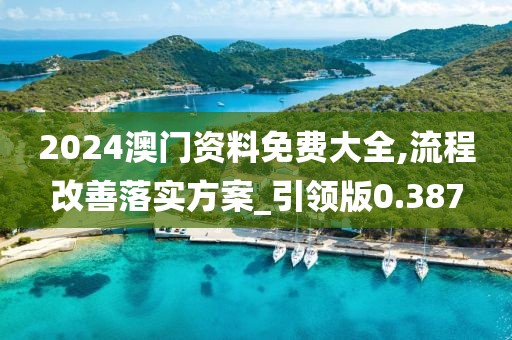 2024澳门资料免费大全,流程改善落实方案_引领版0.387