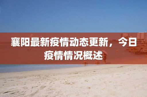 襄阳最新疫情动态更新，今日疫情情况概述