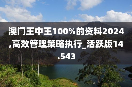澳门王中王100%的资料2024,高效管理策略执行_活跃版14.543