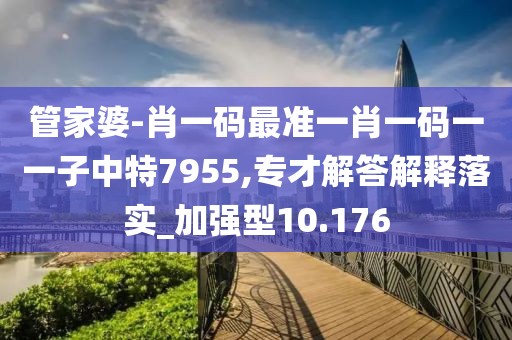 管家婆-肖一码最准一肖一码一一子中特7955,专才解答解释落实_加强型10.176
