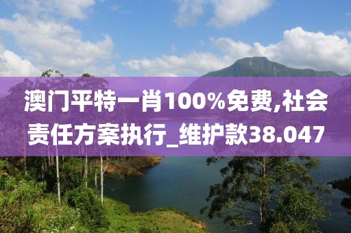 澳门平特一肖100%免费,社会责任方案执行_维护款38.047