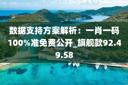 数据支持方案解析：一肖一码100%准免费公开_旗舰款92.49.58