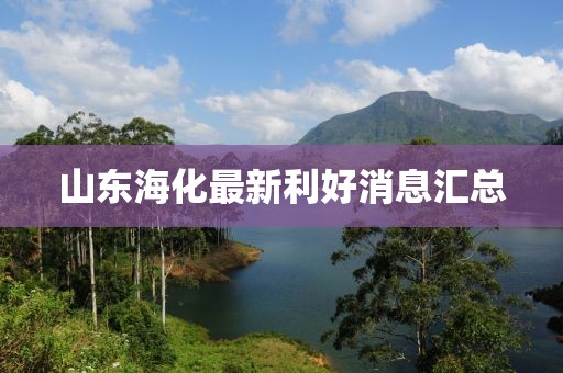 山东海化最新利好消息汇总