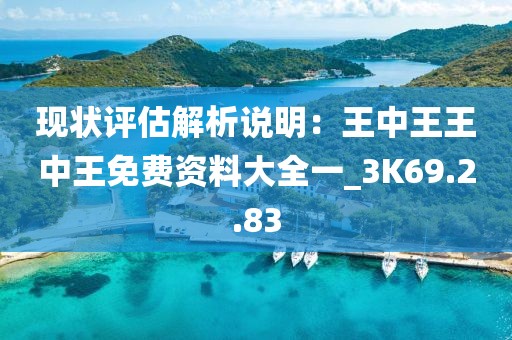 现状评估解析说明：王中王王中王免费资料大全一_3K69.2.83