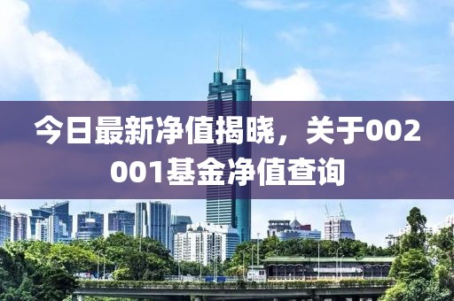 今日最新净值揭晓，关于002001基金净值查询