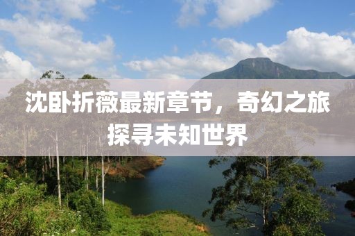 沈卧折薇最新章节，奇幻之旅探寻未知世界