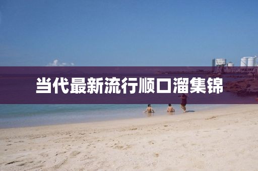 当代最新流行顺口溜集锦