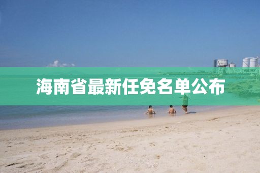 海南省最新任免名单公布