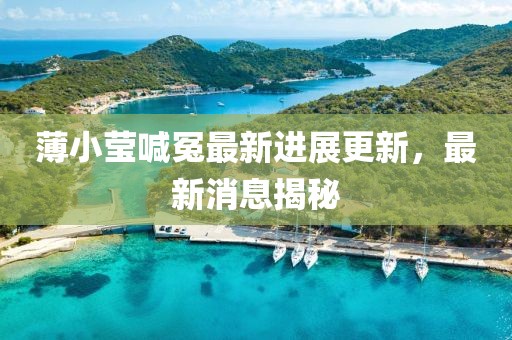 薄小莹喊冤最新进展更新，最新消息揭秘