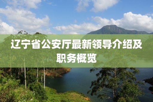 辽宁省公安厅最新领导介绍及职务概览