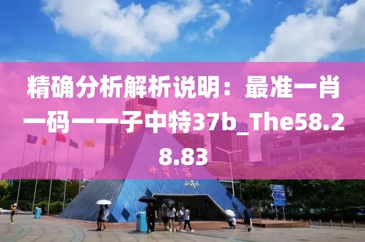 精确分析解析说明：最准一肖一码一一子中特37b_The58.28.83