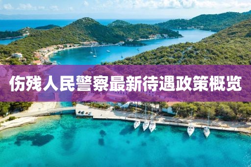 伤残人民警察最新待遇政策概览