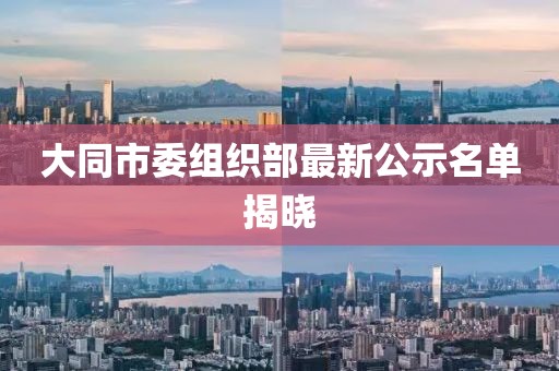 大同市委组织部最新公示名单揭晓