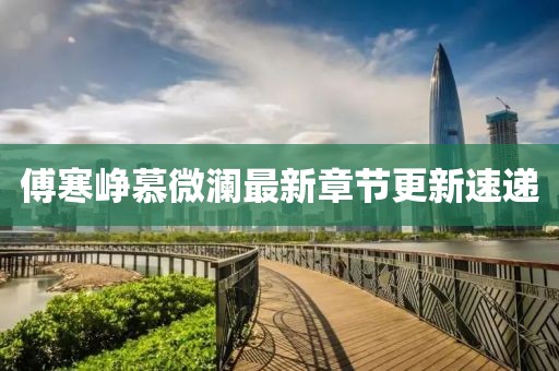 傅寒峥慕微澜最新章节更新速递