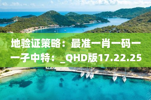 地验证策略：最准一肖一码一一孑中特：_QHD版17.22.25