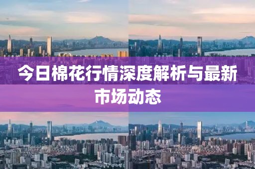 今日棉花行情深度解析与最新市场动态