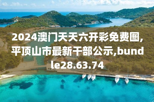 2024澳门天天六开彩免费图,平顶山市最新干部公示,bundle28.63.74