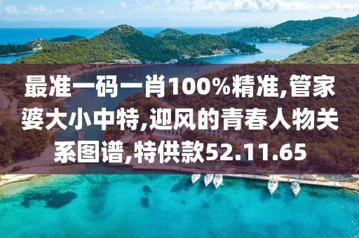 最准一码一肖100%精准,管家婆大小中特,迎风的青春人物关系图谱,特供款52.11.65