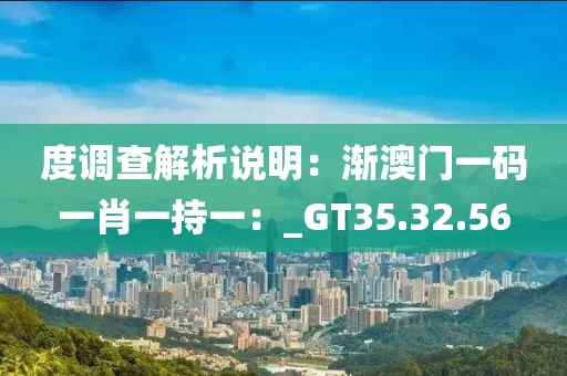度调查解析说明：渐澳门一码一肖一持一：_GT35.32.56