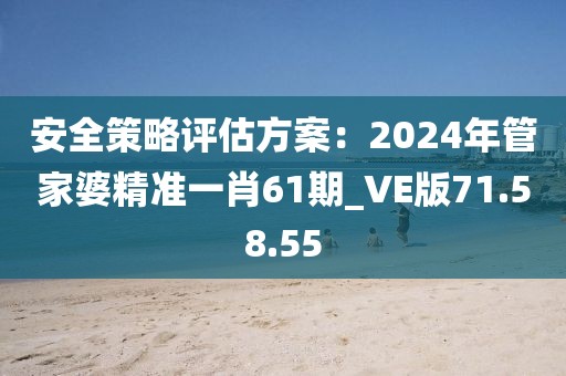 安全策略评估方案：2024年管家婆精准一肖61期_VE版71.58.55