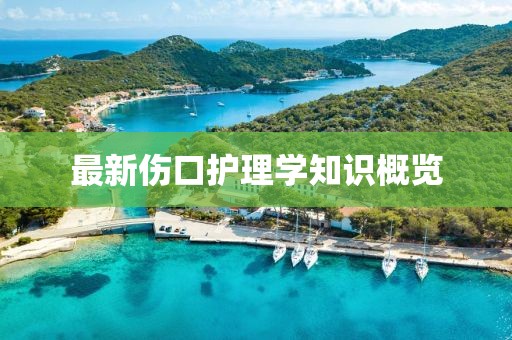 最新伤口护理学知识概览
