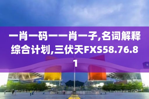 一肖一码一一肖一子,名词解释综合计划,三伏天FXS58.76.81