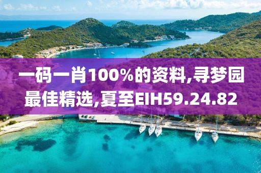 一码一肖100%的资料,寻梦园最佳精选,夏至EIH59.24.82