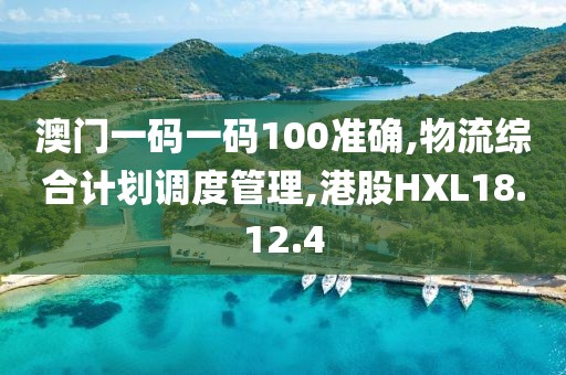 澳门一码一码100准确,物流综合计划调度管理,港股HXL18.12.4