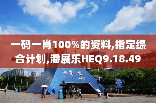 一码一肖100%的资料,指定综合计划,潘展乐HEQ9.18.49