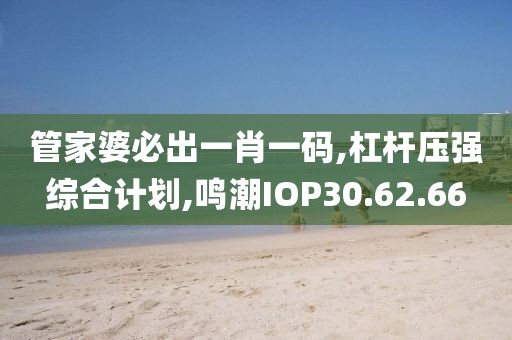 管家婆必出一肖一码,杠杆压强综合计划,鸣潮IOP30.62.66