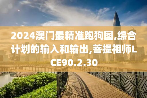 2024澳门最精准跑狗图,综合计划的输入和输出,菩提祖师LCE90.2.30