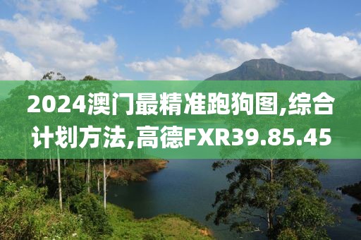 2024澳门最精准跑狗图,综合计划方法,高德FXR39.85.45