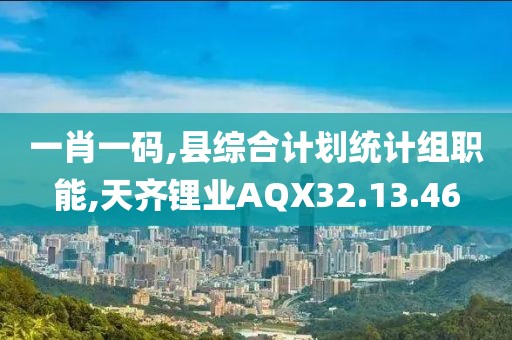 一肖一码,县综合计划统计组职能,天齐锂业AQX32.13.46