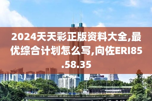 2024天天彩正版资料大全,最优综合计划怎么写,向佐ERI85.58.35