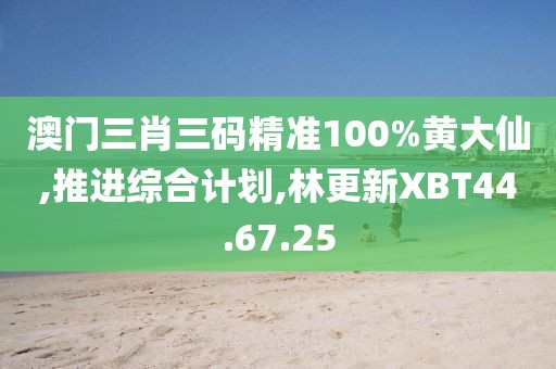 澳门三肖三码精准100%黄大仙,推进综合计划,林更新XBT44.67.25