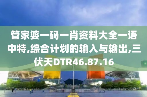 管家婆一码一肖资料大全一语中特,综合计划的输入与输出,三伏天DTR46.87.16