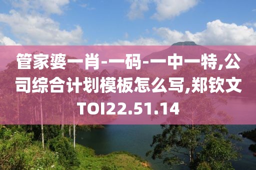 管家婆一肖-一码-一中一特,公司综合计划模板怎么写,郑钦文TOI22.51.14